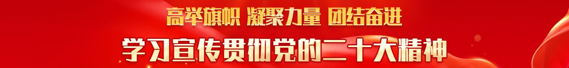 学习贯彻党的二十大精神