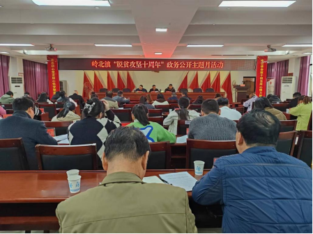 岭北镇开展“脱贫攻坚十周年”政务公开  主题月活动   