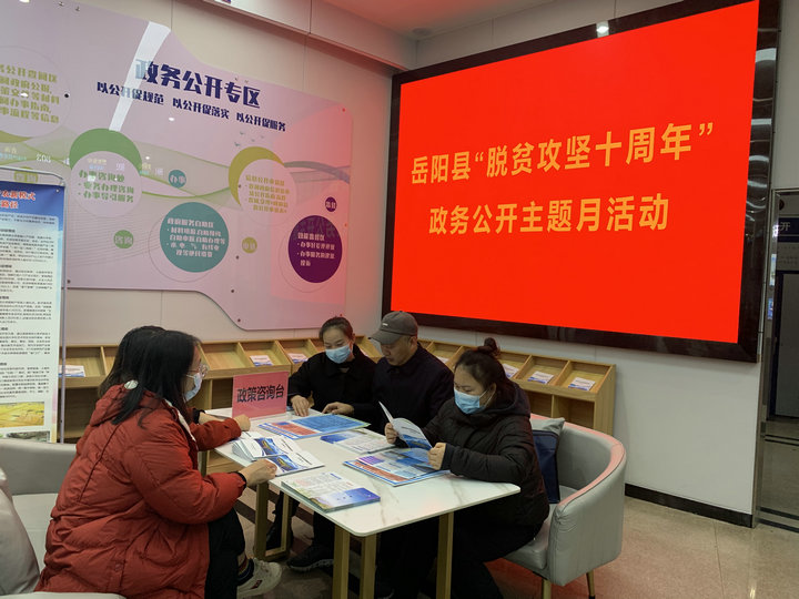 岳阳县推动“脱贫攻坚十周年”政务公开主题月活动持续走深走实