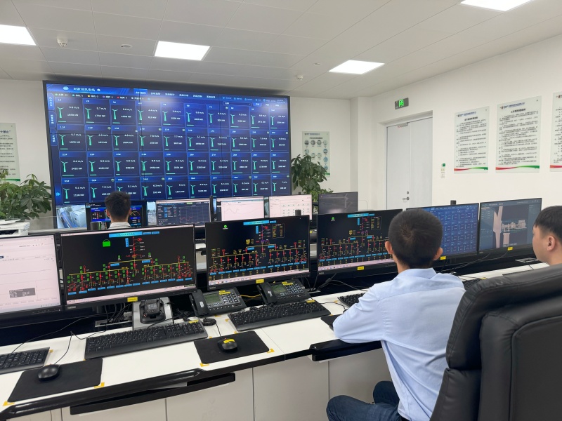 湖南首个规模化平原混塔风电项目实现全容量并网发电。人民网记者 林洛頫摄